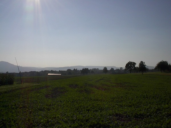 dorf.JPG