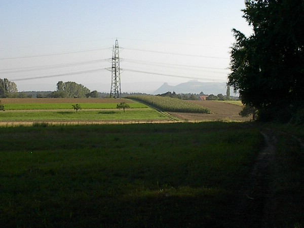 hegau2.JPG