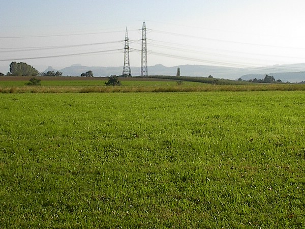 hegau3.JPG