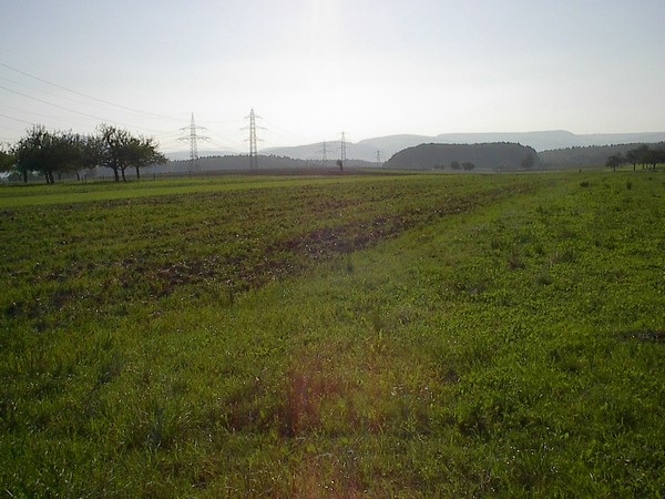 hegau5.JPG