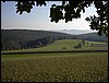 hegau.JPG
