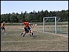 P1010031.JPG